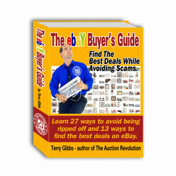 eBay Buyer's Guide 350 by 350